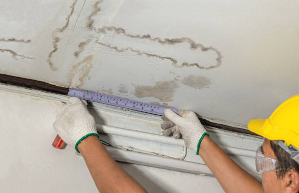 Affordable Water Damage Repair solutions in Amherstdale, WV